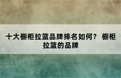 十大橱柜拉篮品牌排名如何？ 橱柜拉篮的品牌